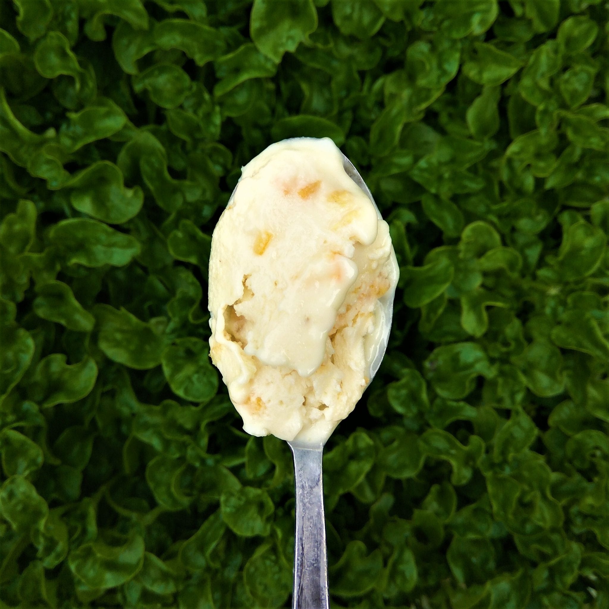 Lemony Orange Peel Ice Cream