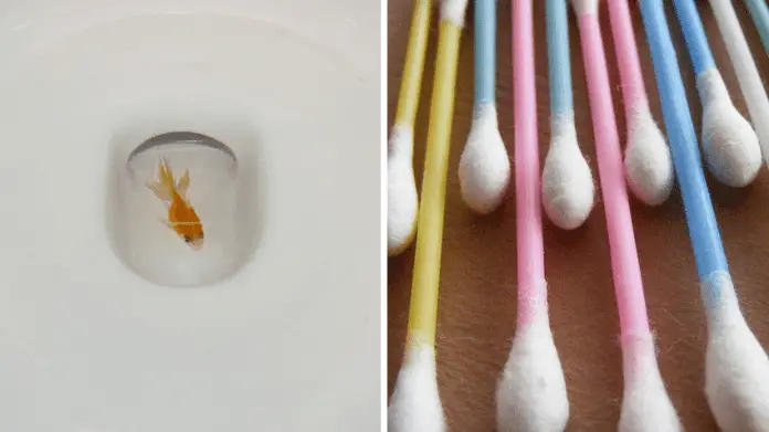 15 Things You Shouldn't Flush Down The Toilet